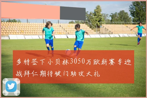 多特签下小贝林3050万欧新赛季迎战拜仁期待破门助攻大礼
